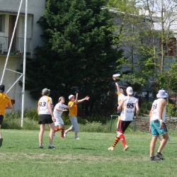 Interception des Moustix.