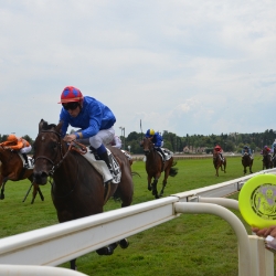A l'hippodrome de Vichy (03)